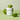 SUNGBOON EDITOR Green Tomato Pore Peeling Jumbo Pad (60 pads)