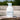 ILLIYOON Ceramide Ato Lotion 350ml