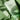 HEIMISH Matcha Biome Amino Acne Cleansing Foam 150g - Vegan