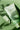 HEIMISH Matcha Biome Amino Acne Cleansing Foam 150g - Vegan